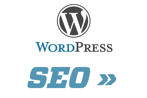 Вы слышали о SEO и хотите, чтобы ваш шаблон WordPress был хорошо оснащен этой функцией